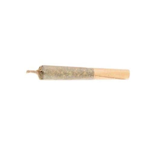 NO. 416 COSMIC THUNDER PRE-ROLL (COLD CREEK KUSH) by Haven St. THC 14-19% CBD 0-5%