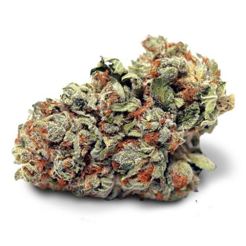 Hybrid HEADBAND by High Tide THC 15-21% CBD 0-1%