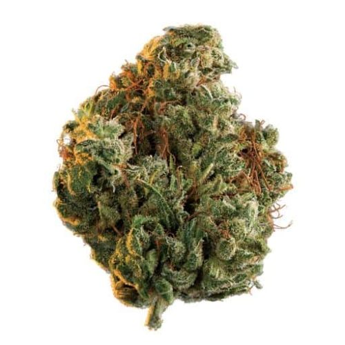 Get the best Green Cush Cannabis Strain online from our trusted store. We offer the highest quality product at the best deals today!