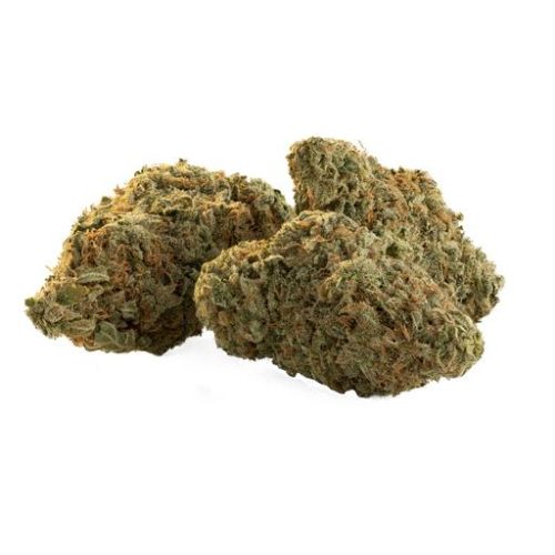 Indica-Dominant FLICKER (INDICA BLEND ) by Trailblazer THC 15-18% CBD 0-0.15%