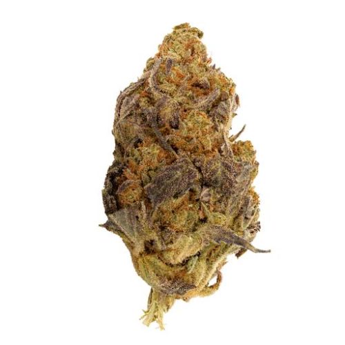 Sativa-Dominant SIREN (R2) by ANKR ORGANICS THC 15-22% CBD 0-0.07%