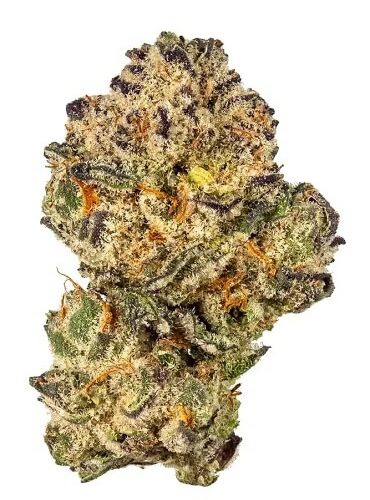 Blueberry Waffles Strain