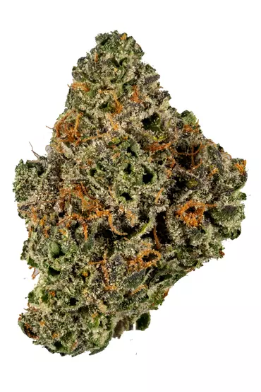 Dolato Cannabis Strain