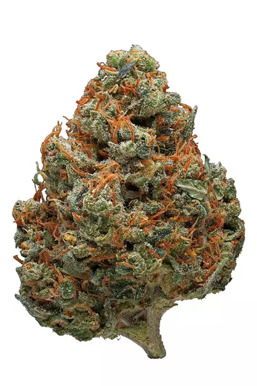 Durban Poison Weed Strain