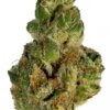 GMO aka GMO Cookies or Garlic Cookies Cannabis Strain