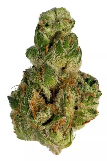 GMO aka GMO Cookies or Garlic Cookies Cannabis Strain