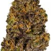 Grand Daddy Purple Cannabis Strain