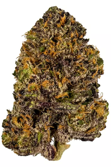 Grand Daddy Purple Cannabis Strain