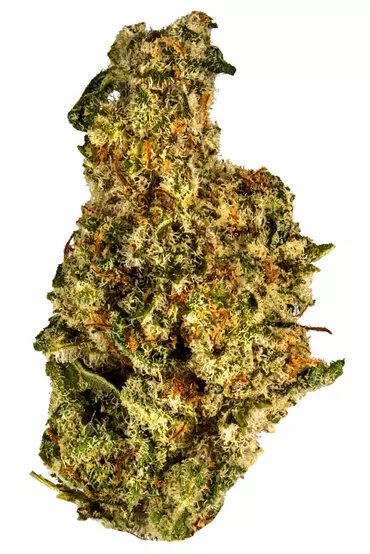 Buy Miracle Alien Cookies Cannabis Strain Online