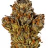 Buy Sherbet Cannabis Strain Online