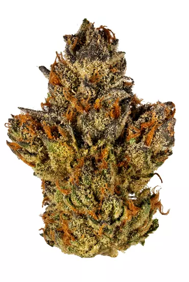 Buy Sherbet Cannabis Strain Online