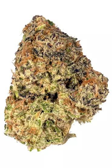 Purple Punch Cannabis Strain