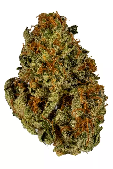 Rainmaker Cannabis Strain For Sale