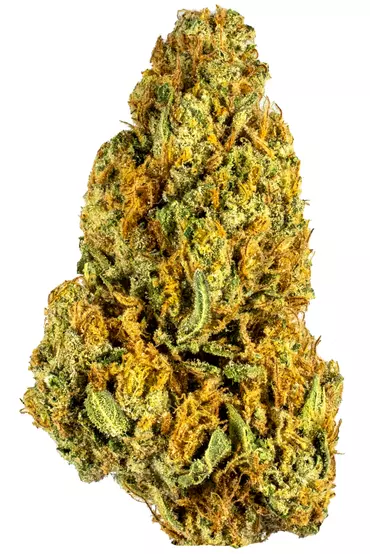 Wookies Cannabis Strain