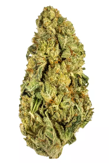 Order Sugar Wookies Marijuana Strain Online