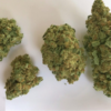 Buy Bruce Banner Bud Online