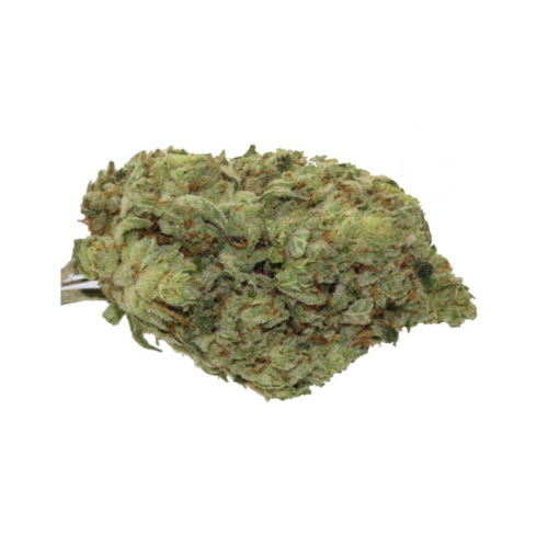 Get your hands on the best-selling Gorilla Glue #4 cannabis strain with this amazing offer! Buy now and experience outstanding highs and aromas.