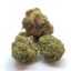 Buy AK-48 Cannabis Strain Online