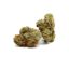 Maui Wowie Marijuana Strain For Sale