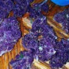 Buy Purple Urkle Cannabis Strain Online