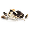 Buy Cambodian Cubensis Mushrooms Online