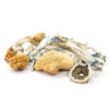 Order Albino Blue Meanies Mushrooms Online