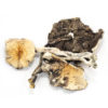 Order Mexican Cubensis Mushrooms Online