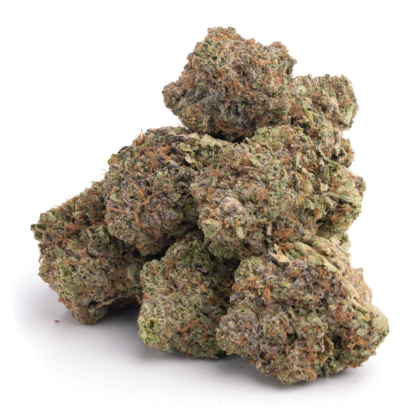 Afghan Kush dried cannabis buds ready for wholesale and retail purchase