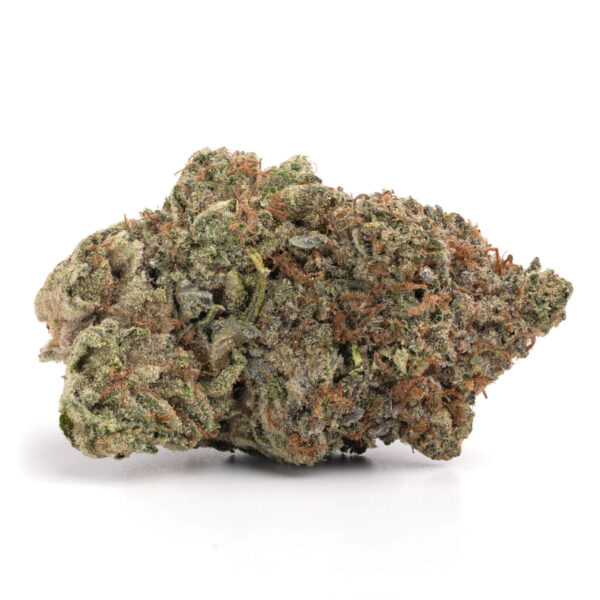 Close-up of Afghan Kush flower showing trichome-rich detail and vibrant colors