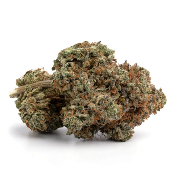 Close-up macro image of Ghost Train Haze flower highlighting frosty trichomes and sativa-leaning structure