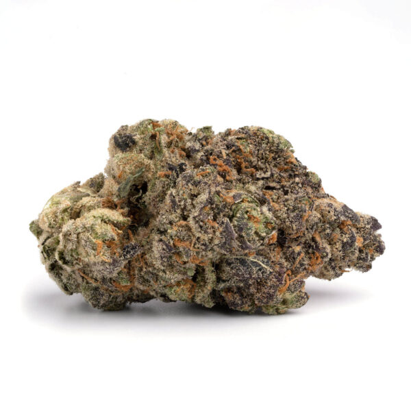 Close-up of Blackberry Kush flower showing berry-colored tones and dense indica structure