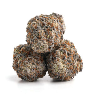Close-up of Funky Charms cannabis buds showcasing vibrant colors