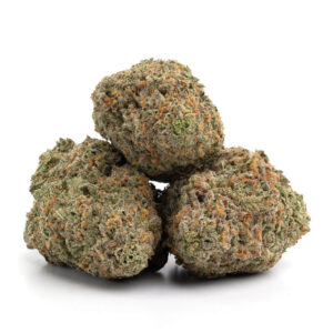 Colorful-Blue-Hawaiian-cannabis-buds-with-vivid-orange-hairs-and-tropical-resin-crystals.