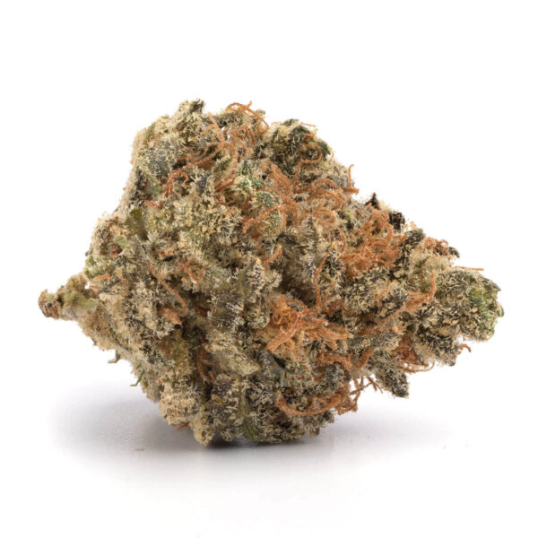 Dense-Alien-Dawg-cannabis-buds-covered-in-crystal-trichomes-for-retail-and-bulk-orders