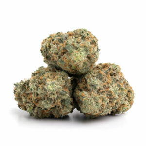 Durban Poison cannabis buds with crystal-coated sativa structure and dark orange pistils