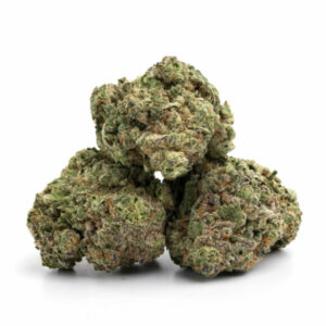 Forbidden Fruit cannabis buds with vibrant purple hues and heavy trichome coverage