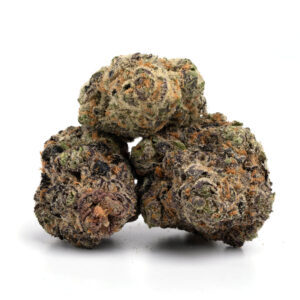 Frosted Blackberry Kush cannabis buds with deep purple hues and rich trichome coverage