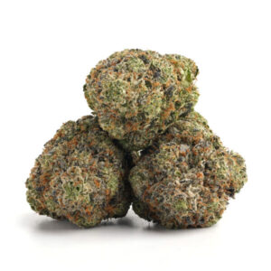 Frosty Miracle Mintz cannabis flower with mint-green and purple hues