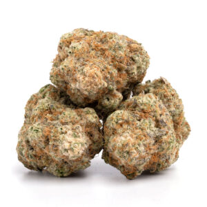 GMO Cookies cannabis buds with dense structure and thick layers of sticky trichomes
