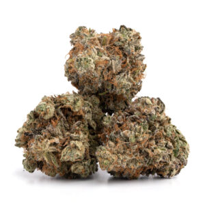 Ghost Train Haze cannabis buds with light green coloration, orange hairs, and dense trichome coverage