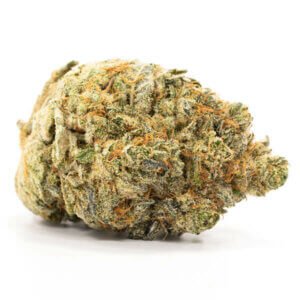 Herijuana 3 Herijuana flower in wholesale packaging for international distribution