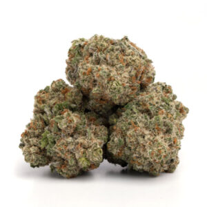 Jack Herer cannabis flower with frosty trichomes and bright orange pistils