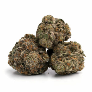 Jet Fuel Gelato packaged in retail and bulk sizes for worldwide shipping