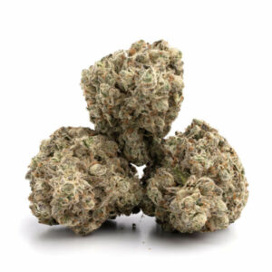 Khalifa Mints cannabis buds glistening with trichomes and minty hues