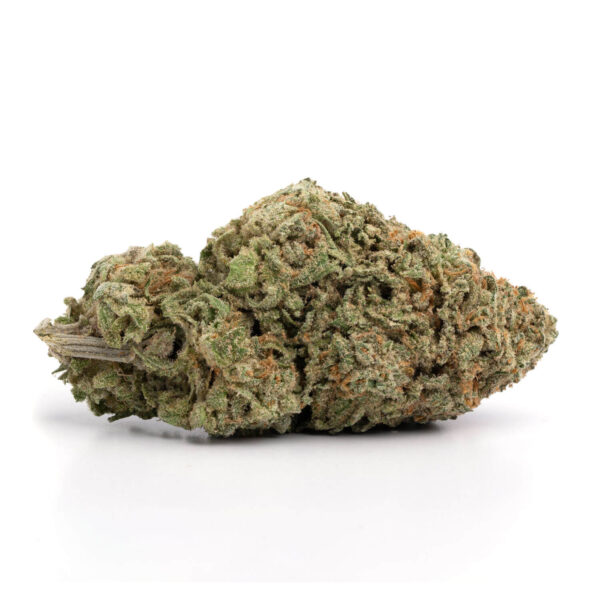 Macro image of Blue Dream flower highlighting its hybrid structure and vivid blue-green hues
