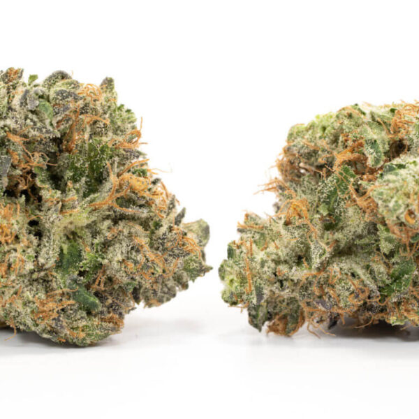 Macro image of Cotton Candy Kush flower highlighting sweet aroma and hybrid bud structure