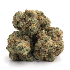 Mango Kush cannabis buds with bright orange pistils and tropical trichome frost