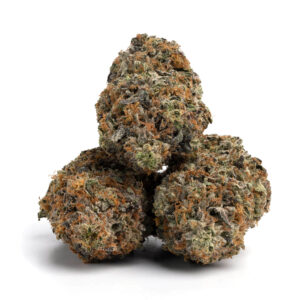 Premium-Alaskan-Thunder-Fuck-cannabis-buds-with-frosty-trichomes-and-vibrant-orange-hairs