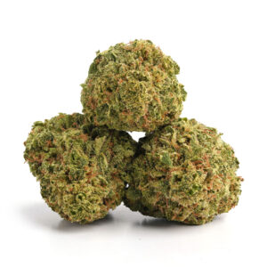 Sugar Bomb cannabis flower coated in sugar-like trichomes