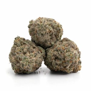 Kush Mints cannabis flower with mint-green hues and frosted trichomes